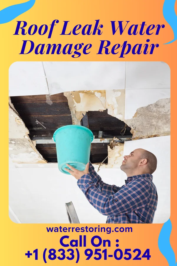 Roof Leak Water Damage Repair in Kingsley, MI