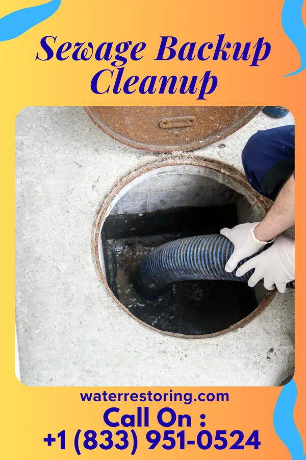 Sewage Backup Cleanup in Kingsley, MI
